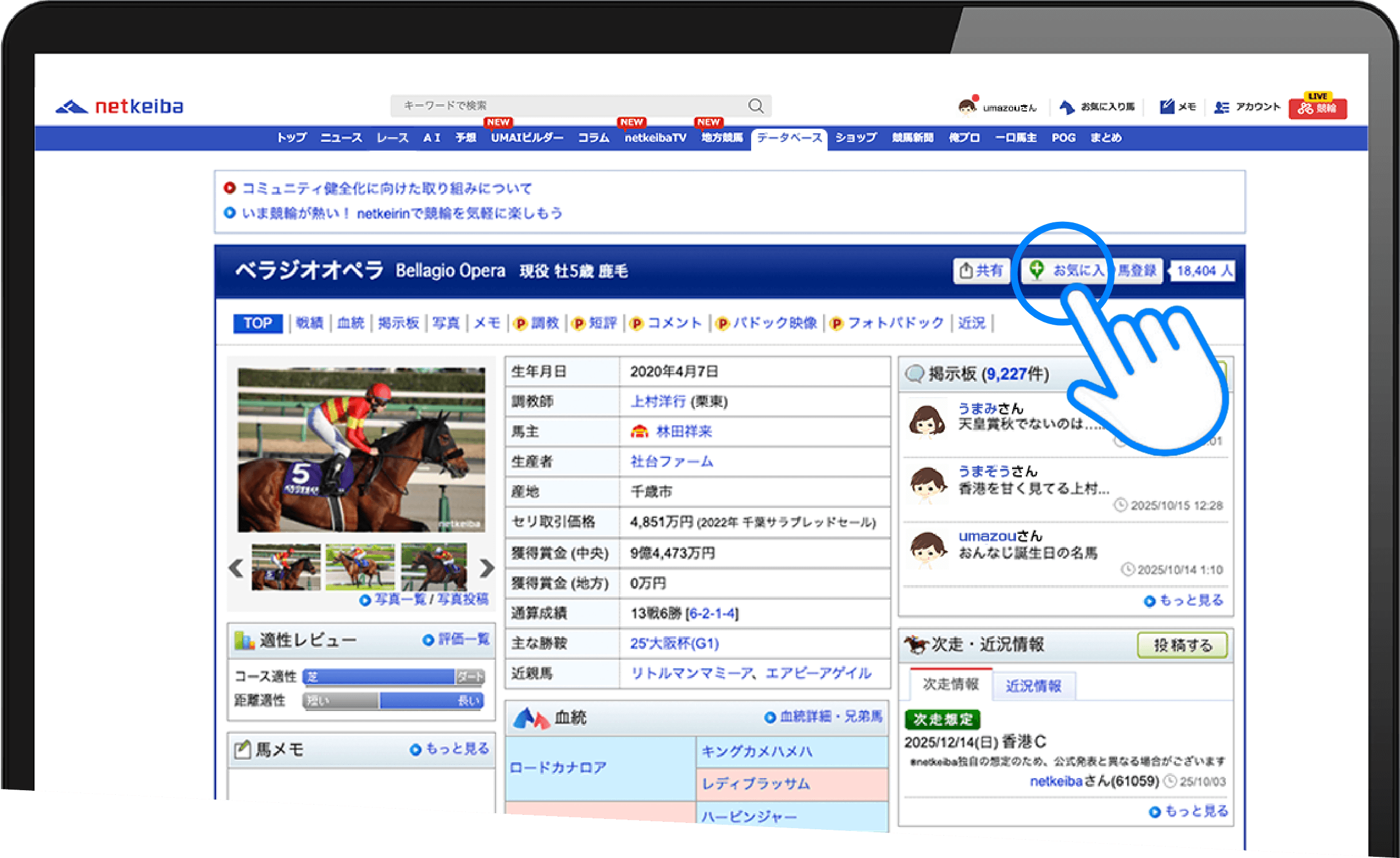 大きな画像
